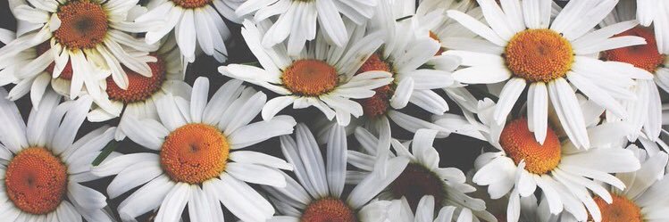 camiimberty's profile banner image