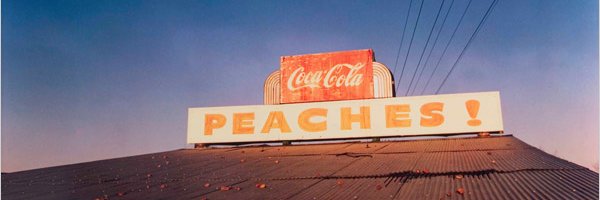 JlibDoesEcon Profile Banner