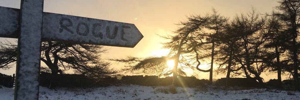 Rogue Runners UK banner