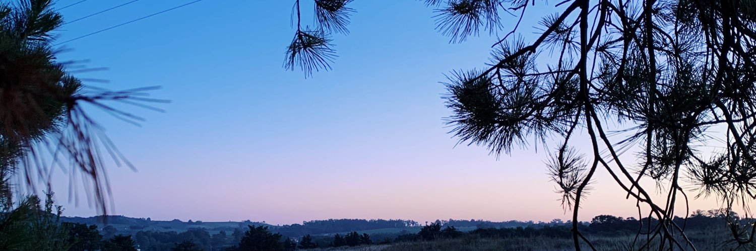 maimartig's profile banner image