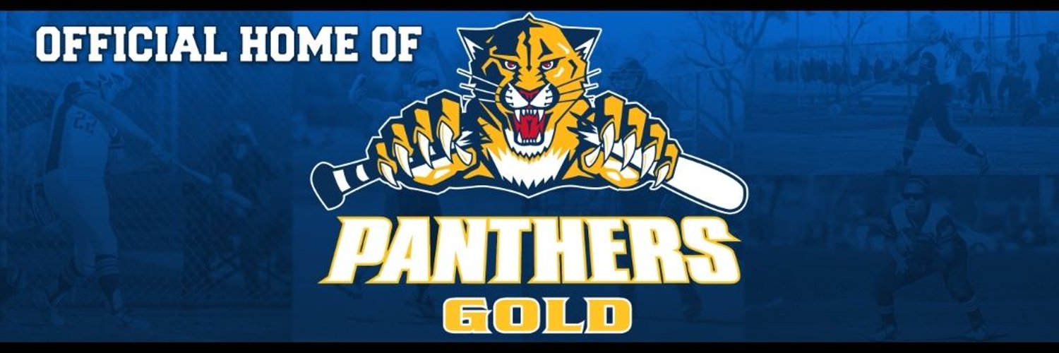 Panthers Gold-18U Profile Banner