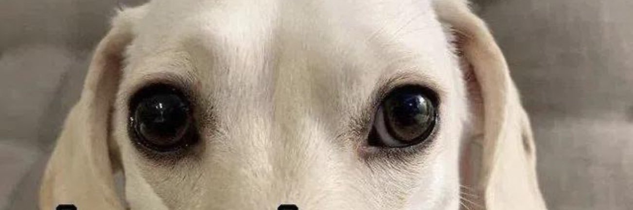 bubbledunivers1's profile banner image