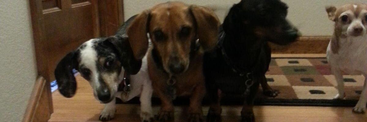 jose4teele's profile banner image