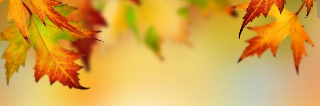 TeteySanchez's profile banner image
