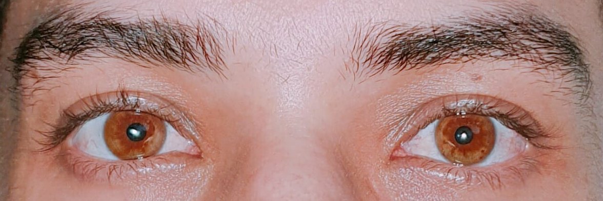 Carlos Sarmiento banner