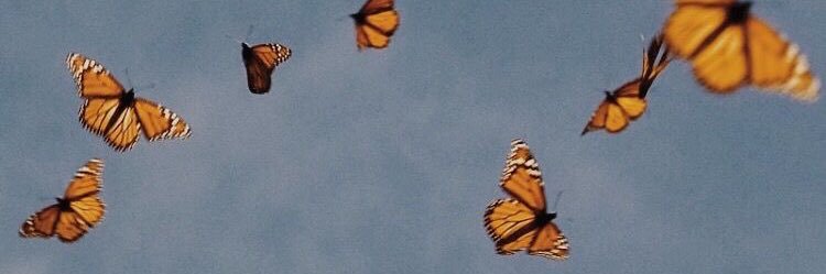 chelleraaay's profile banner image