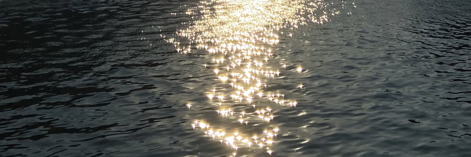 hannah ⋆ .˚✦⋆ banner