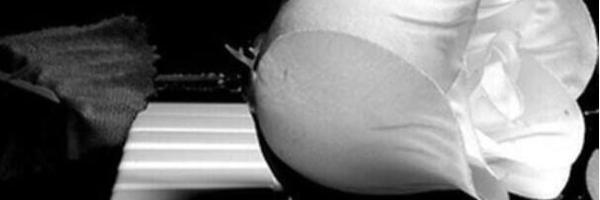 sumayahaj369's profile banner image