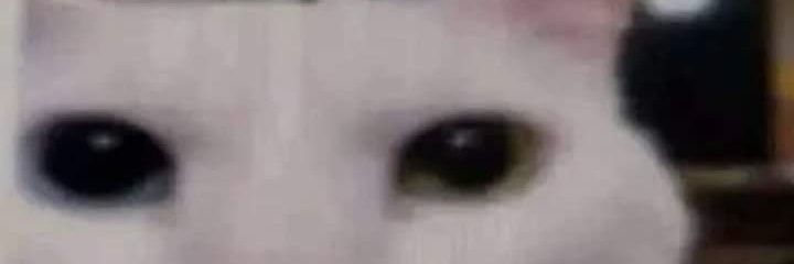 silvarc22's profile banner image