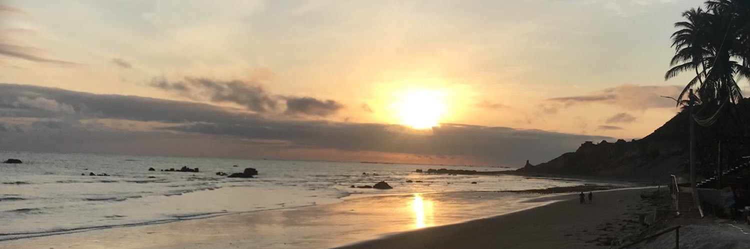 Fernanda Nogueira banner