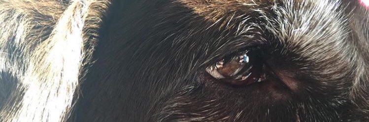 acdfay's profile banner image