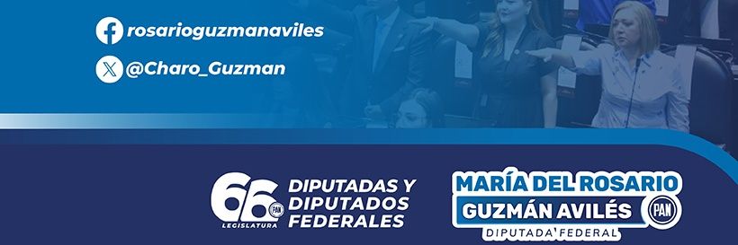 Rosario Guzmán banner