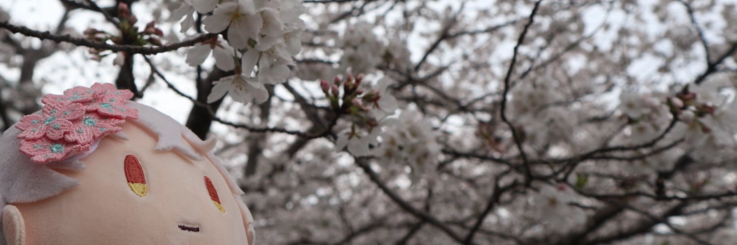camcumoon's profile banner image