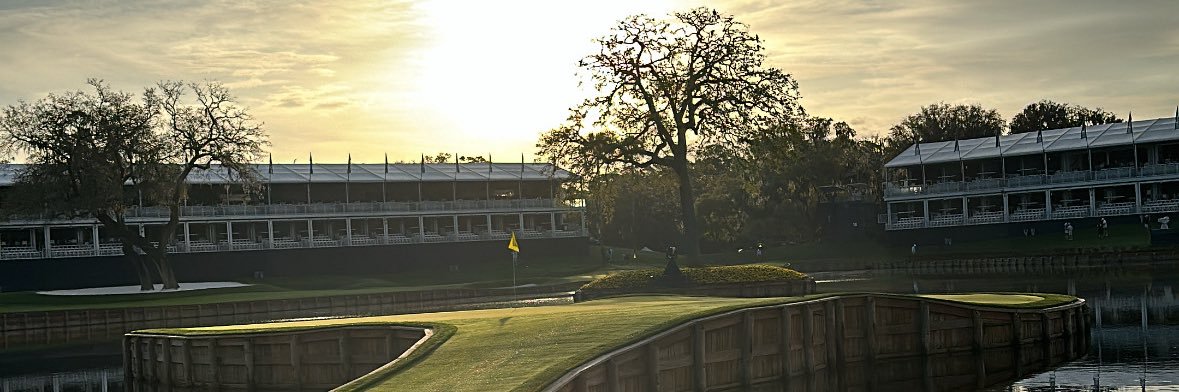 Will Hauser banner
