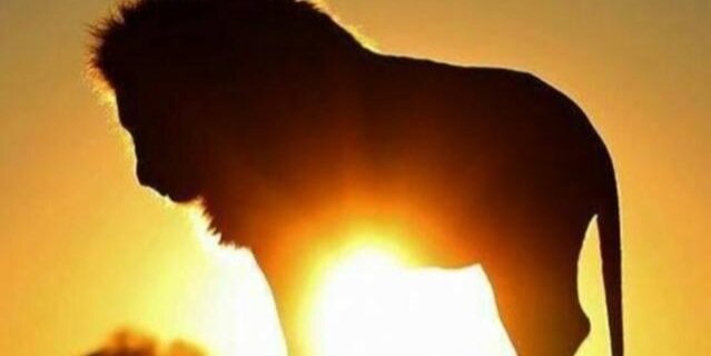 shertisoy's profile banner image