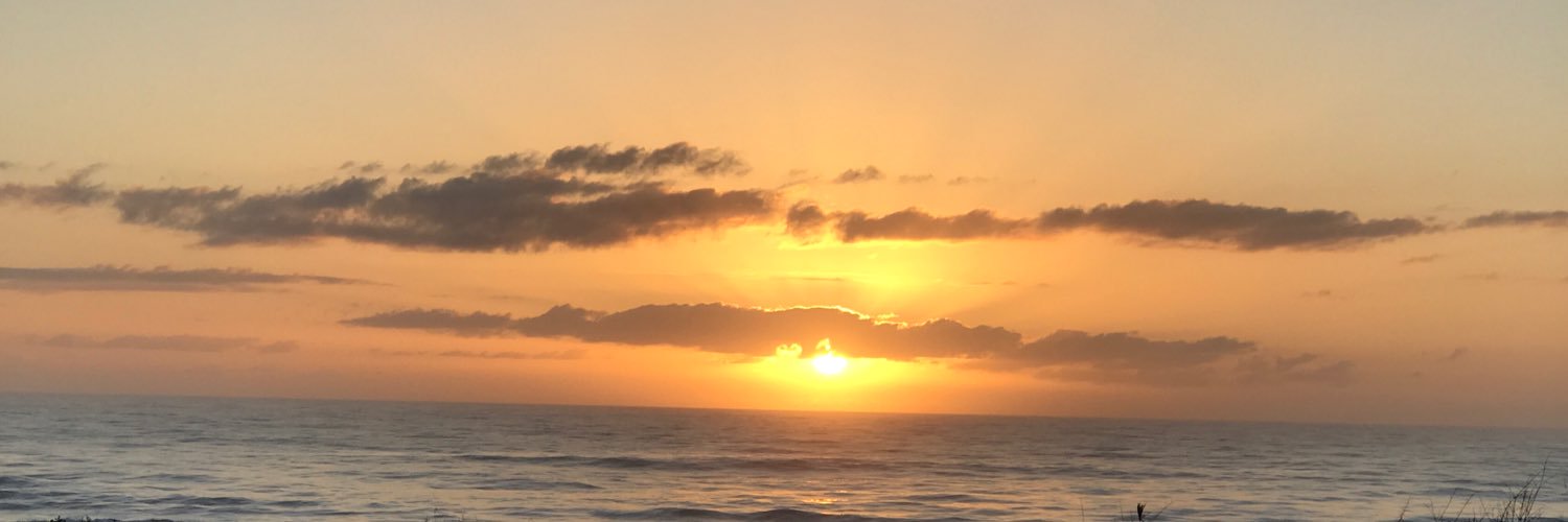 SLivingston33's profile banner image