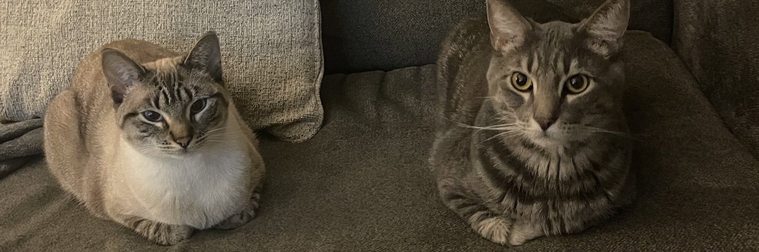 nataliedidio's profile banner image