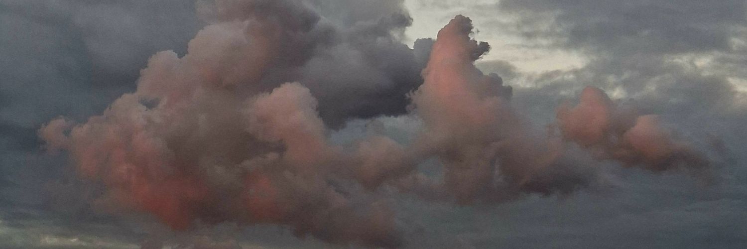 RiviDamasio's profile banner image