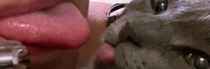 𝖆𝖓𝖌𝖊𝖑𝖎𝖓𝖆 𓆰𓆪 🤍❤️🤍 banner