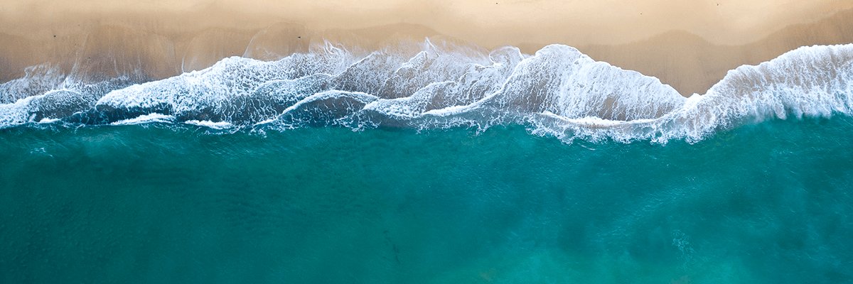 Andrea López banner