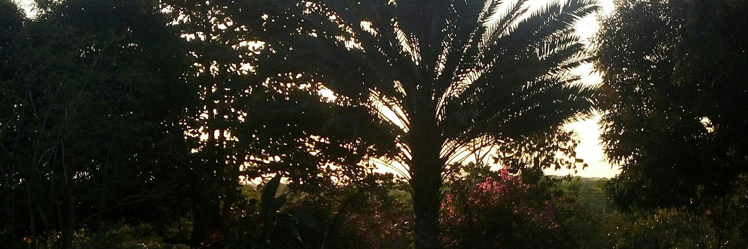 Macricavi's profile banner image