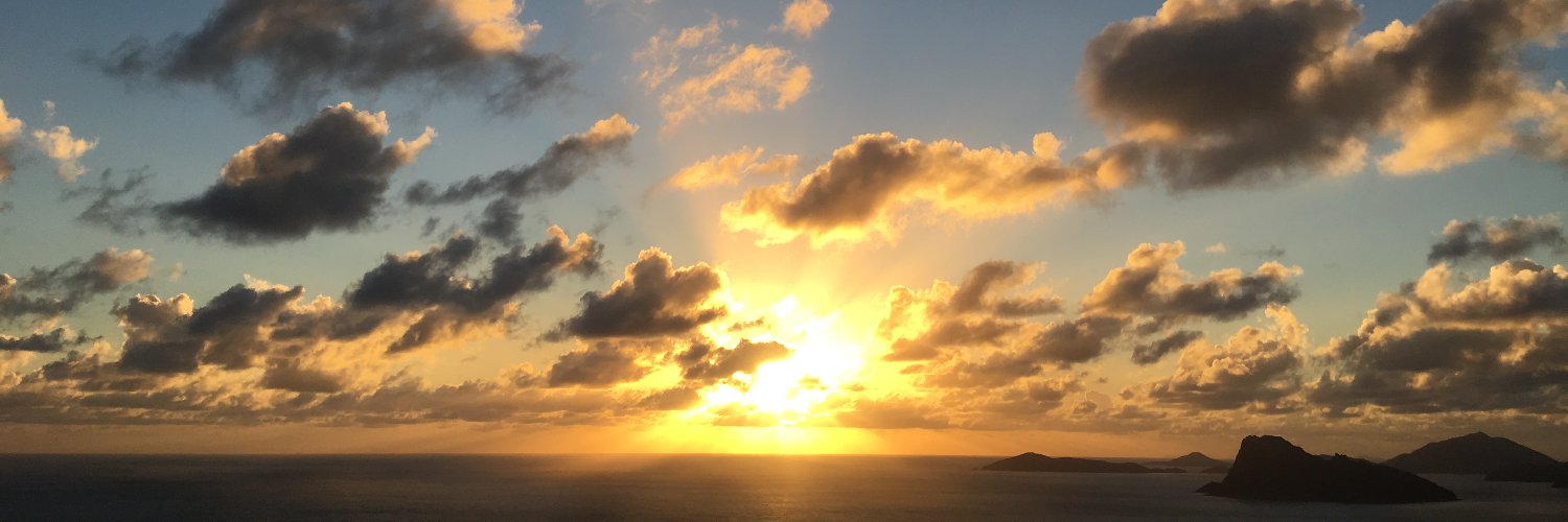 danicaleespenc's profile banner image