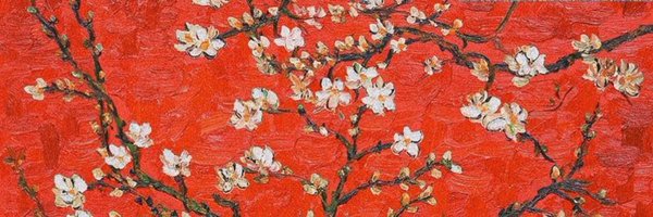 zli__ Profile Banner