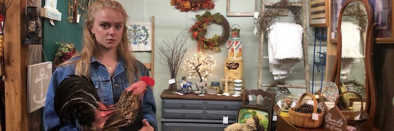 rylee banner