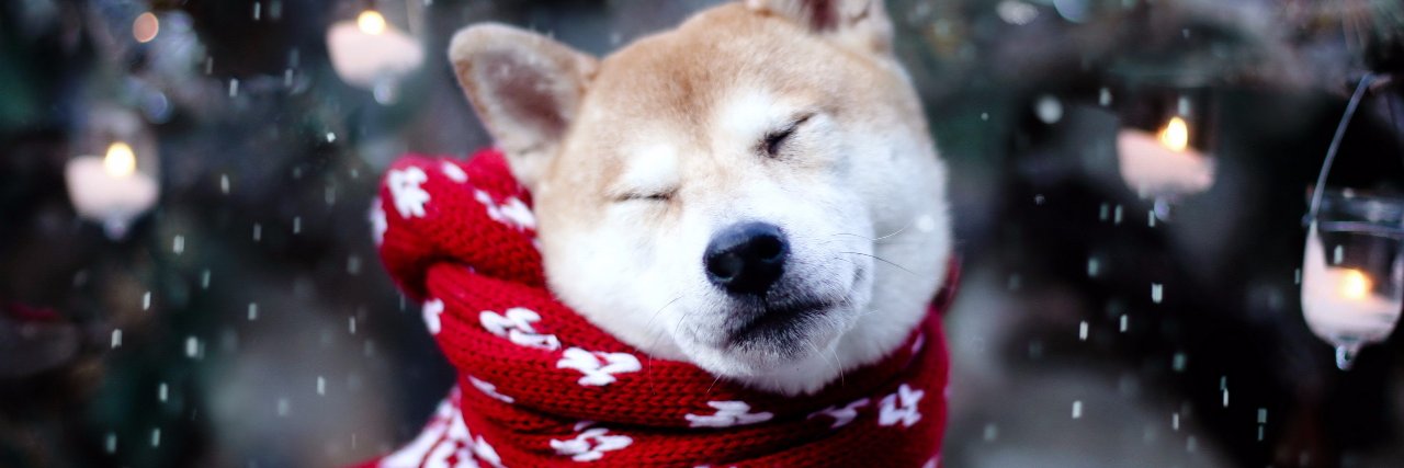 BBQuach's profile banner image