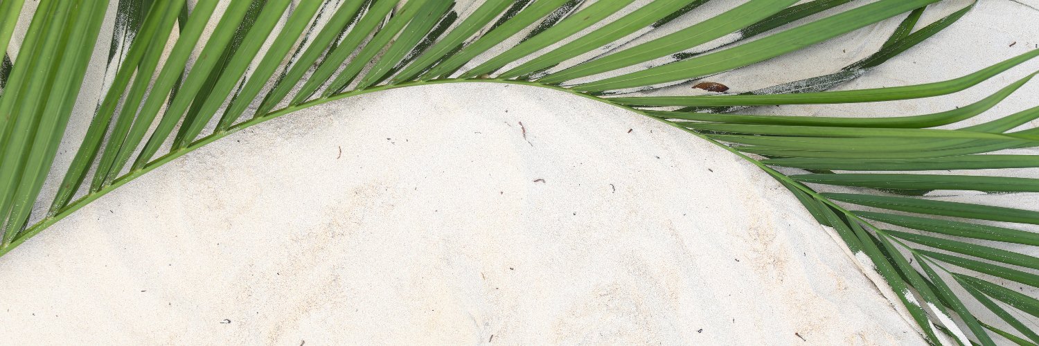 RoxVa's profile banner image