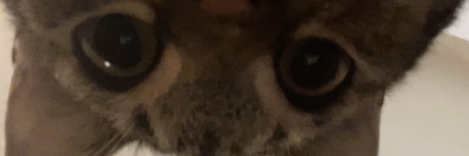 natkaybee's profile banner image