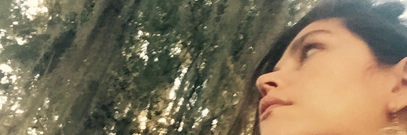 Alexadgart's profile banner image