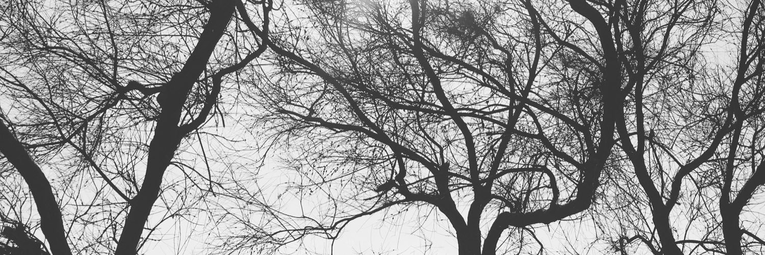 MarwaMaj's profile banner image