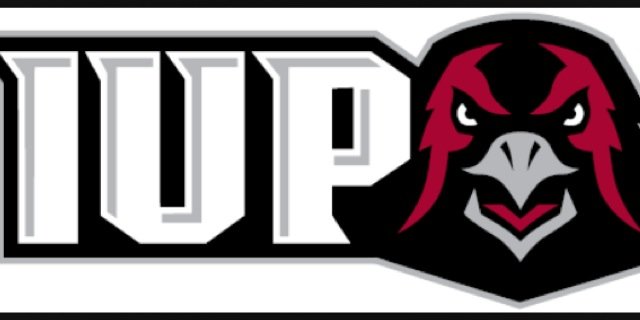 IUPWCS's profile banner image