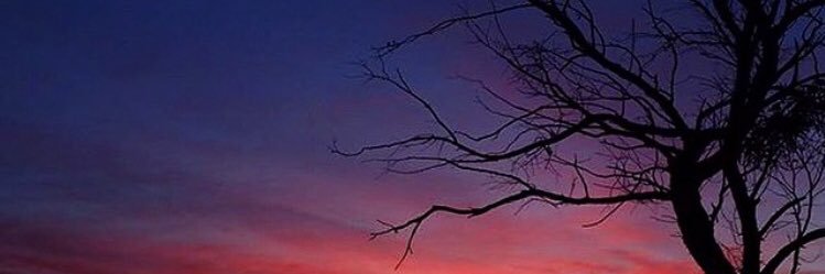 Kate Eastman banner