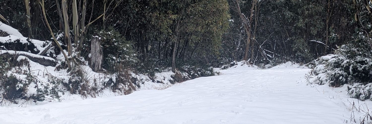 speed_daemon_'s profile banner image