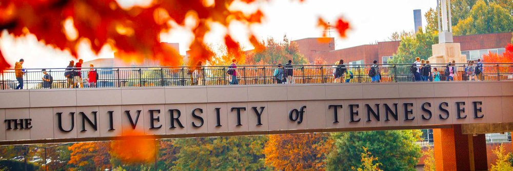 utkcmst's profile banner image