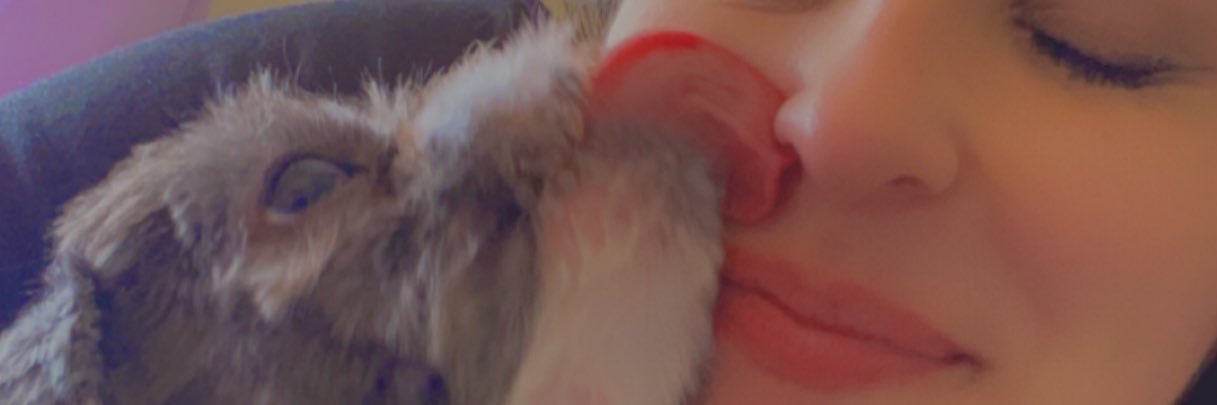 Karissa_Morelli's profile banner image