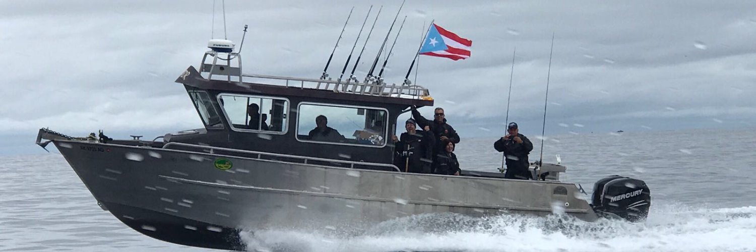 nelperezpr's profile banner image