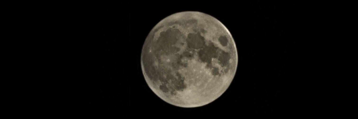 Conniedom's profile banner image