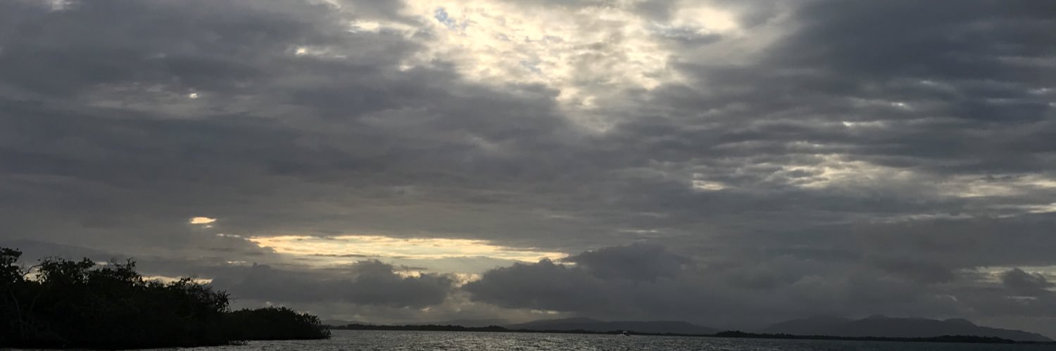 RodVegaLoDice's profile banner image