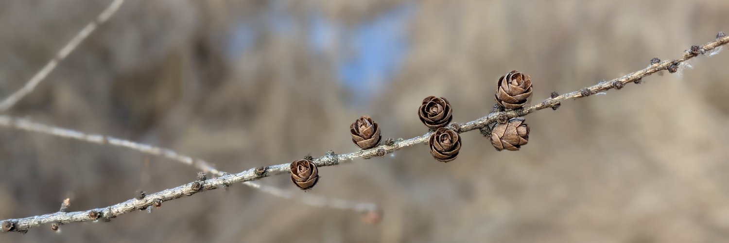 Nora G. Hertel banner
