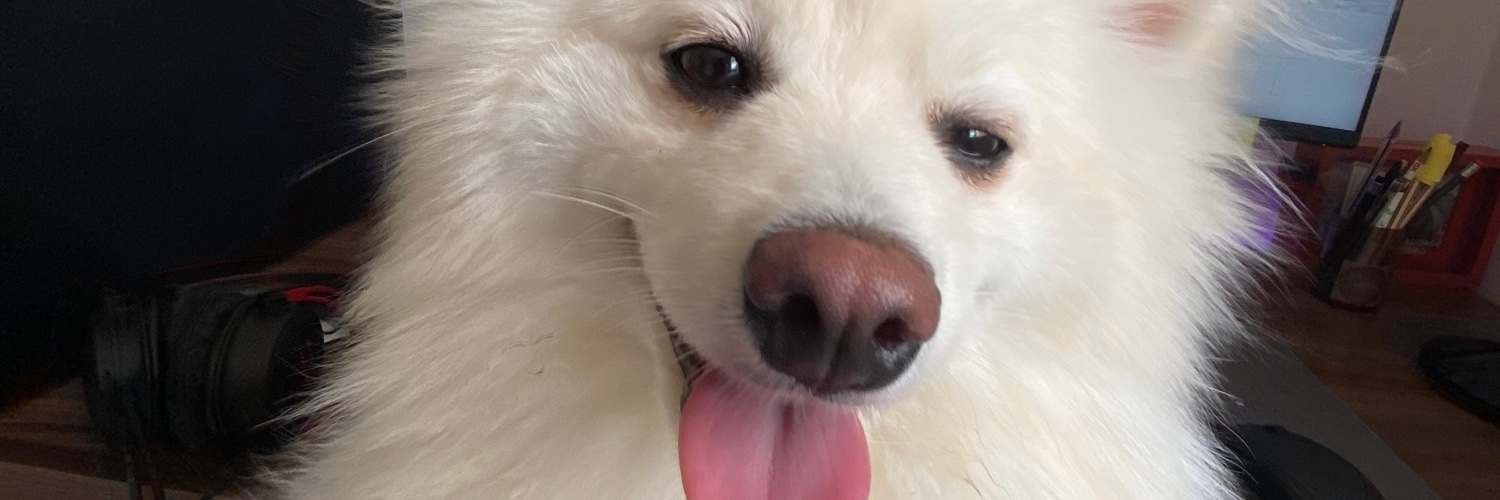 Rodrig0Lima's profile banner image