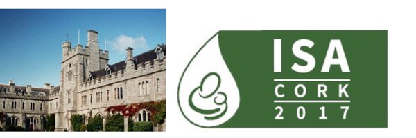 isacork2017 Profile Banner