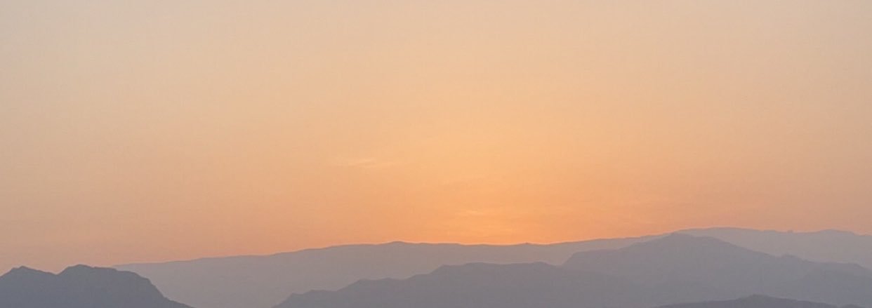 Sh_Tulip's profile banner image