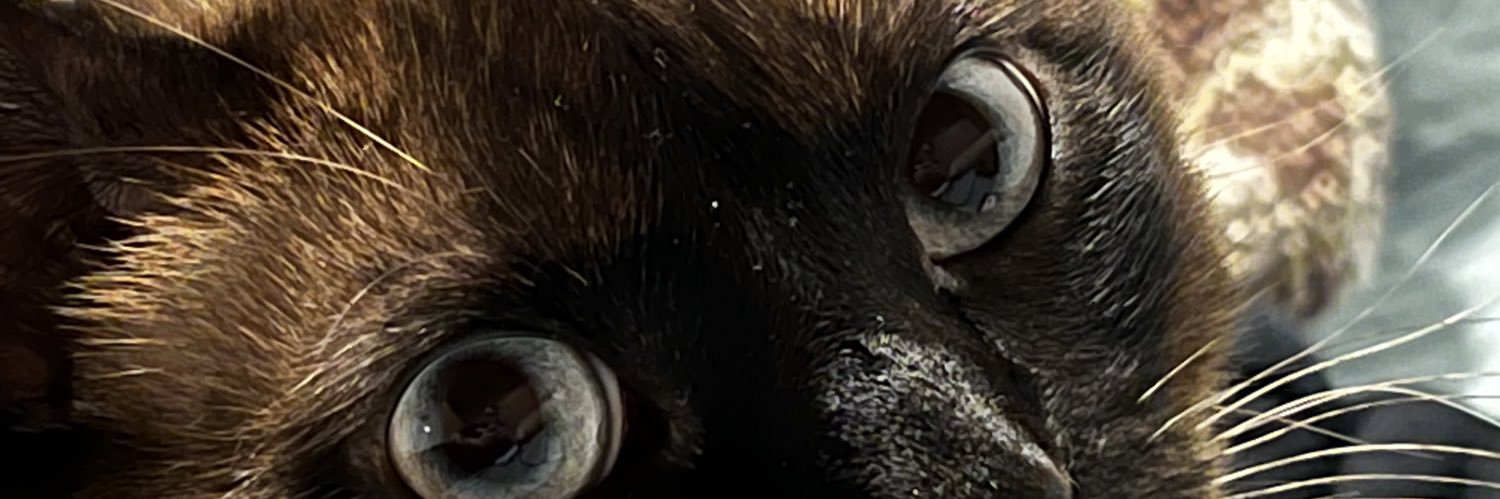 AAADays's profile banner image