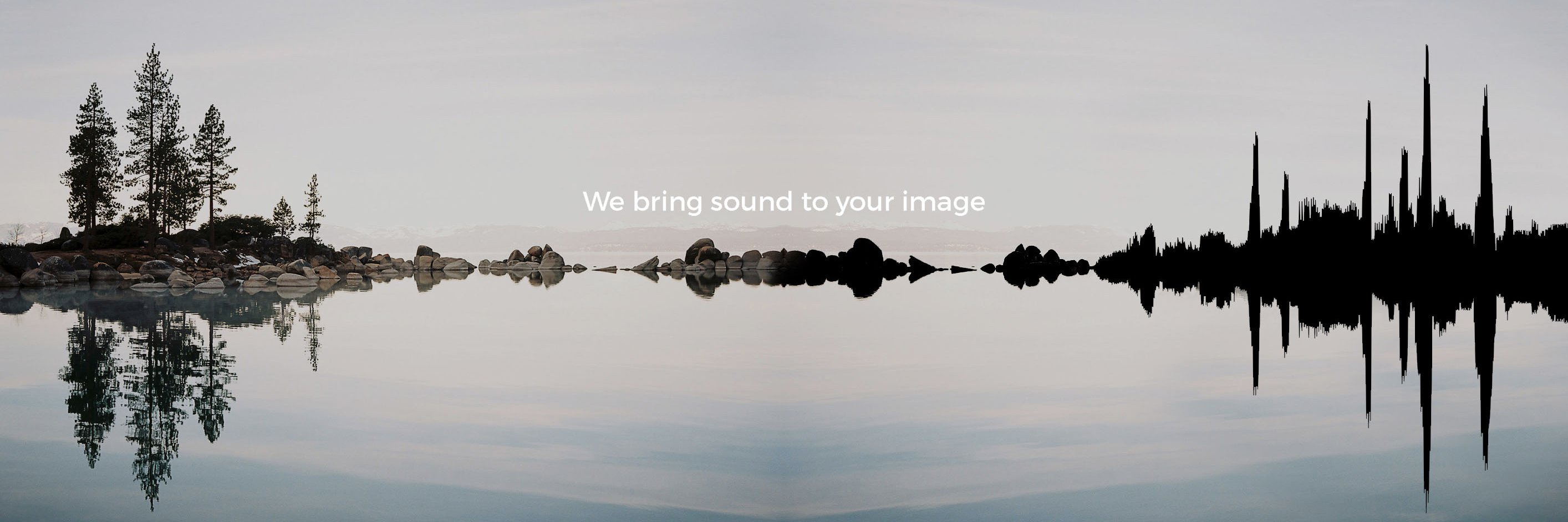 Sound Professionals banner