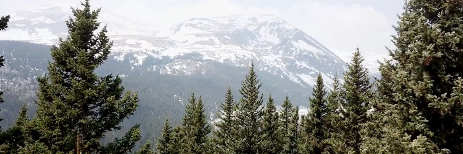 david w. riggs banner