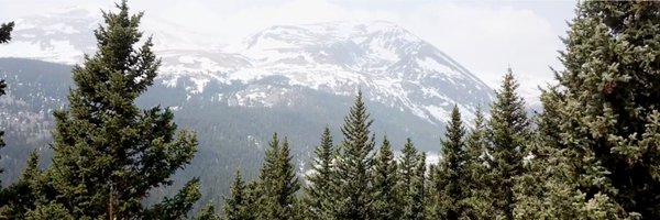 dwilliamriggs Profile Banner