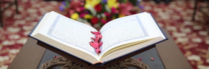 bouchra_ebrahim's profile banner image